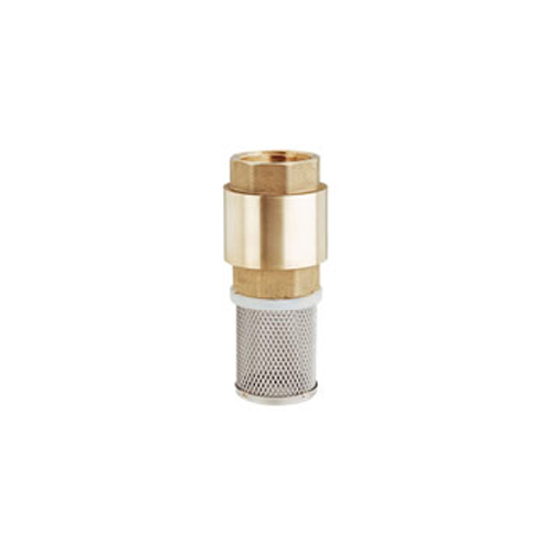 spring-check-valve-with-stainless-steel-mesh